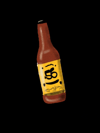 chamaaz beer chile cerveza 56 GIF