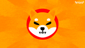 Shiba Inu Crypto GIF by eToro