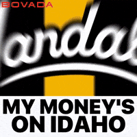 Idaho Vandals GIF by Bovada