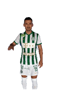 Adnan Kovacevic Sticker by Ferencvárosi Torna Club