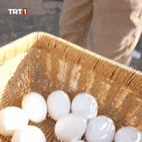 For You GIF by TRT
