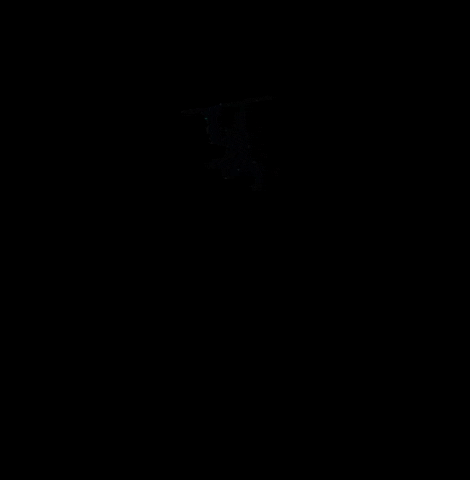 Snow Snowboarding GIF by RideWithUs.it