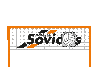 Sovicos sport volleyball volleybal denhaag Sticker