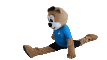 Mascot Gymnastics Sticker by Sportclub Riesa