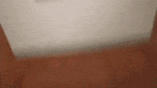 kansas city GIF