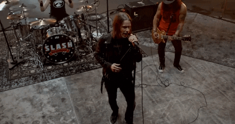 GIF by Slash