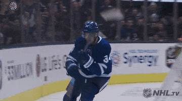 Celebrate Ice Hockey GIF by NHL