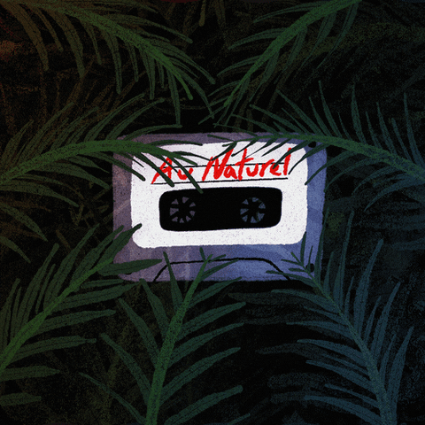 Mixtape Cassette GIF by Chris