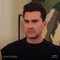 pop tv what GIF by Schitt's Creek