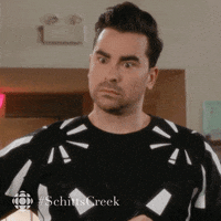 schitts creek comedy GIF by CBC
