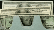 Money Life GIF
