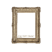 Montenegro Artofliving Sticker by Q Yatırım Holding