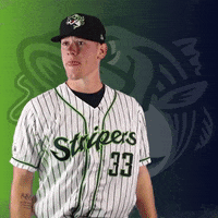 GoStripers catch gwinnett stripers allard GIF