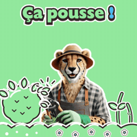 Business Garden GIF by solydari