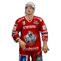 Hockey Del2 Sticker by Eisbären Regensburg