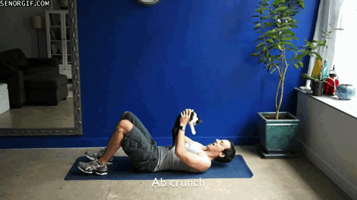 cats exercises GIF by Cheezburger