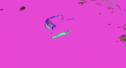 GIF by Leo Pyrata