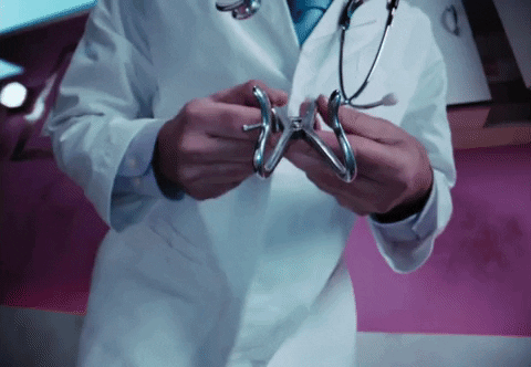 Dog Show GIF by Jazmin Bean