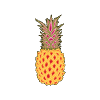 Pinneaple Sticker