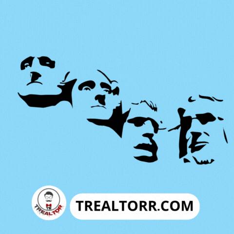 Real Estate Usa GIF by Trealtorr