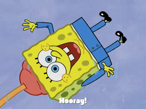 season 4 krusty towers GIF by SpongeBob SquarePants