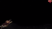 d3vb GIF by CUCougars