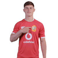 British And Irish Lions Louis Sticker by VodafoneUK