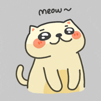Cat Pop GIF