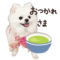 パルレオ Sticker