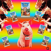 News Babe GIF by Animation Domination High-Def