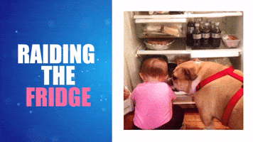 Raiding The Fridge