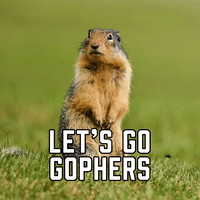 Let's Go Gophers