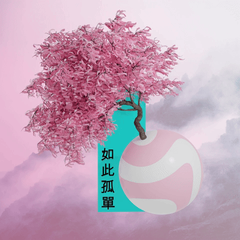 • V U L N E R A B L E •