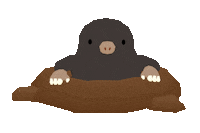 ForestIsland_relaxinggame animal 動物 mole 동물 Sticker