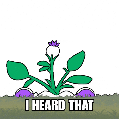 Angry I Heard You GIF by Magic Eden