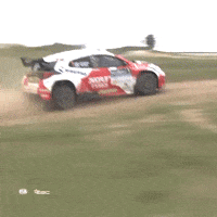Driving Toyota Yaris GIF by FIA European Rally Championship