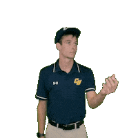 Clarke Golf Sticker by Clarke University