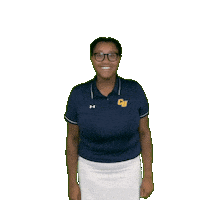 Clarke Golf Sticker by Clarke University