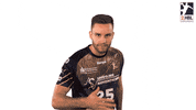 Handball-Bundesliga Handball GIF by LIQUI MOLY HBL