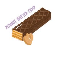 Protein Sticker by Alani Nu