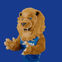 New York Basketball GIF by Hofstra University