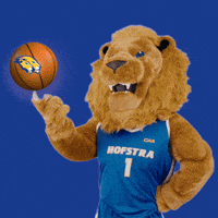 New York Basketball GIF by Hofstra University