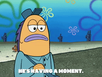 season 5 episode 3 GIF by SpongeBob SquarePants
