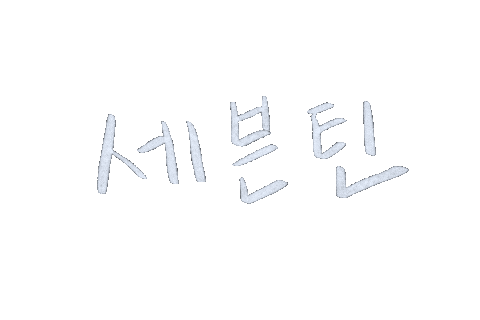 세븐틴 Sticker