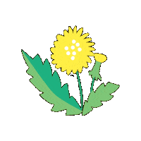 Flower Sticker by Toby tiger
