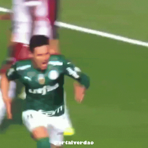 Libertadores Sep GIF