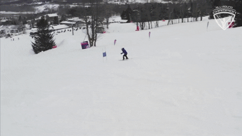 Alpine Skiing GIF by All-Round Champion