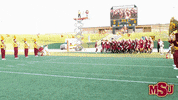 MSUTexas football college university msu GIF