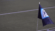 GIF by Lionsbridge FC