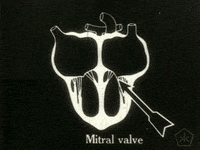 black and white vintage GIF by Okkult Motion Pictures